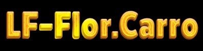 lf-flor-carro